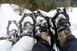 Snowshowing at Snoqualmie Pass