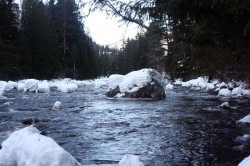 Snowy creek along the trail