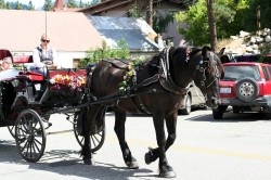 A horse drawn carriage is a common sight in Leavenworth Washington