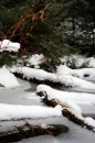 Frozen pond