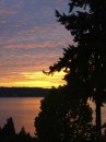 Mercer Island Sunsets