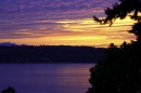 Mercer Island Sunsets