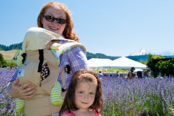Hood River Lavender Daze Festival